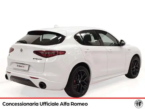 Used ALFA ROMEO STELVIO Diesel 2020 Ad 