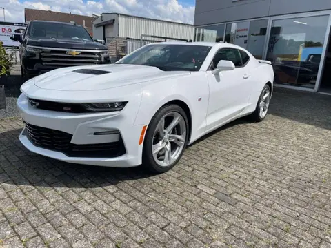 Used CHEVROLET CAMARO Petrol 2024 Ad 