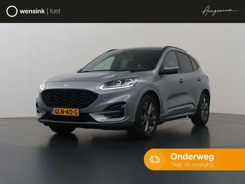 Used FORD KUGA Hybrid 2020 Ad 