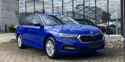 Used SKODA OCTAVIA Diesel 2020 Ad 