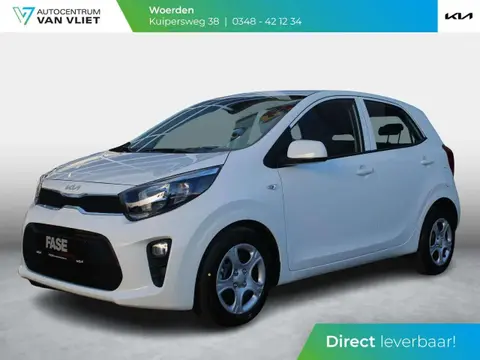 Annonce KIA PICANTO Essence 2024 d'occasion 