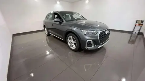 Used AUDI Q5 Hybrid 2024 Ad 