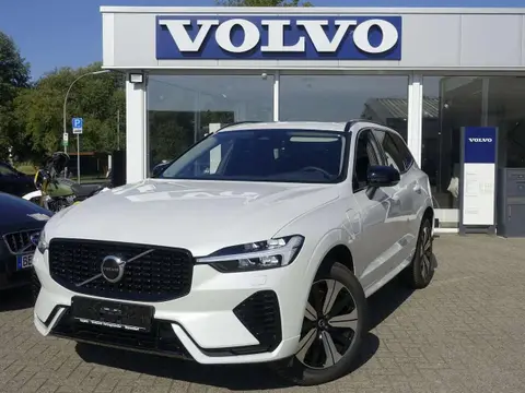 Used VOLVO XC60 Hybrid 2023 Ad 