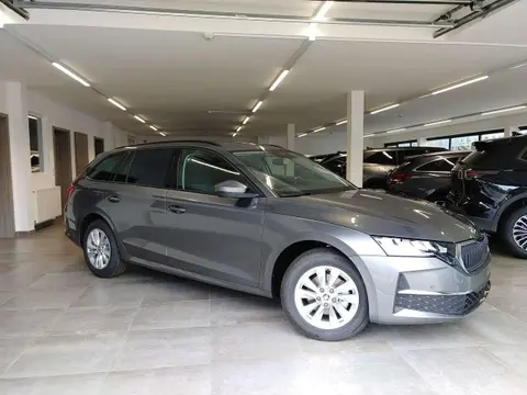 Annonce SKODA OCTAVIA Essence 2024 d'occasion 