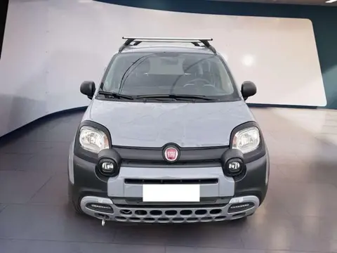 Used FIAT PANDA Hybrid 2021 Ad 