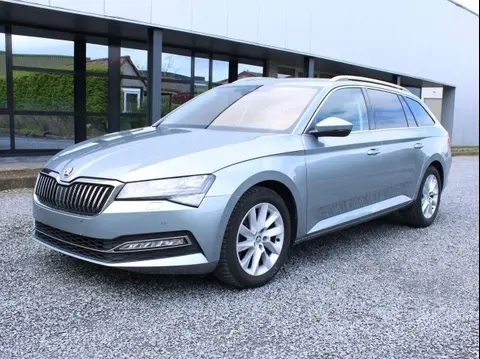 Used SKODA SUPERB Diesel 2019 Ad 