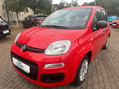 Annonce FIAT PANDA GPL 2019 d'occasion 