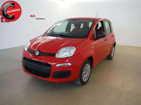 Annonce FIAT PANDA Essence 2019 d'occasion 