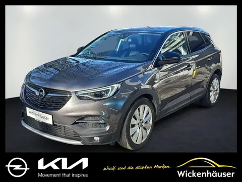 Used OPEL GRANDLAND Petrol 2020 Ad 