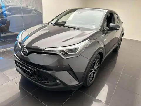 Used TOYOTA C-HR Hybrid 2019 Ad 