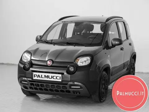 Used FIAT PANDA Hybrid 2023 Ad 