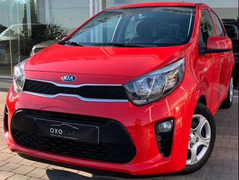 Annonce KIA PICANTO Essence 2021 d'occasion 