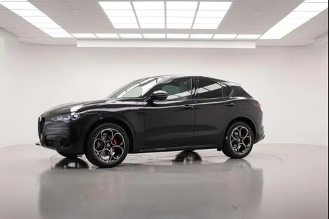 Annonce ALFA ROMEO STELVIO Diesel 2024 d'occasion 