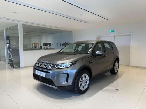 Used LAND ROVER DISCOVERY Hybrid 2021 Ad 