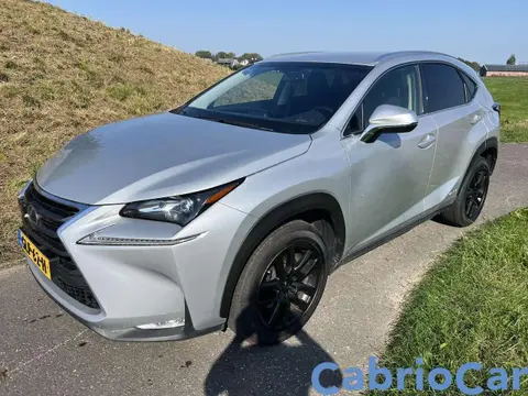 Used LEXUS NX Hybrid 2015 Ad 