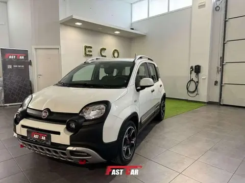 Used FIAT PANDA LPG 2022 Ad 