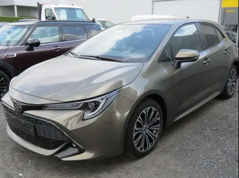 Used TOYOTA COROLLA Petrol 2022 Ad 