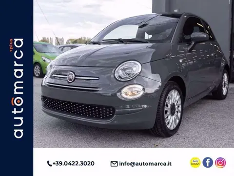 Used FIAT 500 Petrol 2021 Ad 