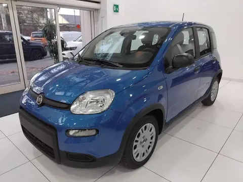 Annonce FIAT PANDA Hybride 2024 d'occasion 