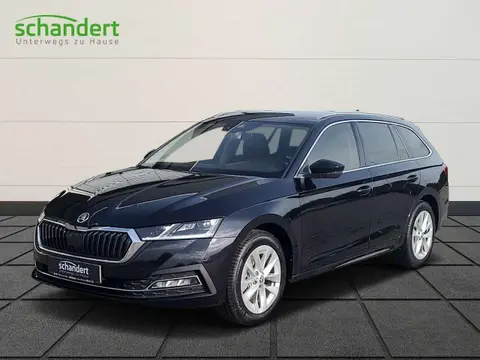 Annonce SKODA OCTAVIA Essence 2024 d'occasion 