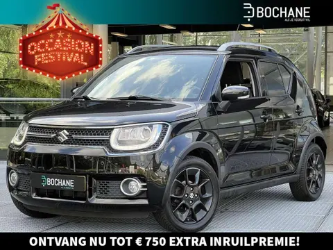 Used SUZUKI IGNIS Petrol 2018 Ad 