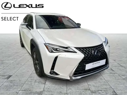 Used LEXUS UX Hybrid 2020 Ad 