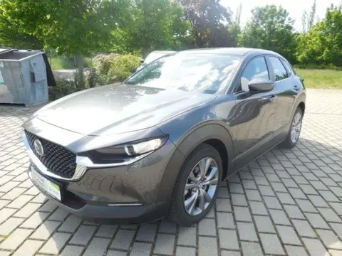 Annonce MAZDA CX-30 Hybride 2019 d'occasion 