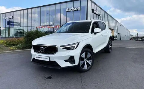 Used VOLVO XC40 Hybrid 2023 Ad 