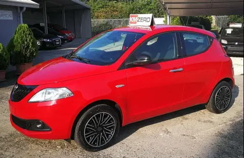 Used LANCIA YPSILON Hybrid 2024 Ad 