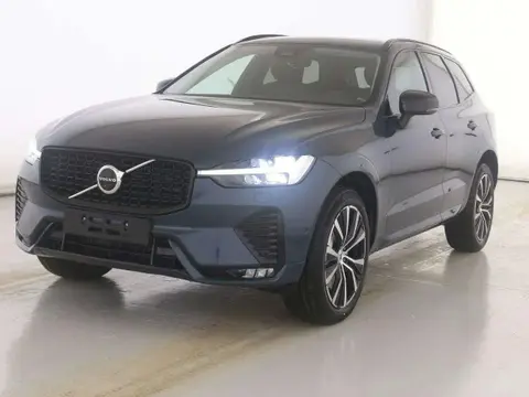 Annonce VOLVO XC60 Diesel 2024 d'occasion 