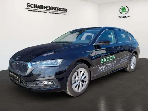 Annonce SKODA OCTAVIA Essence 2024 d'occasion 