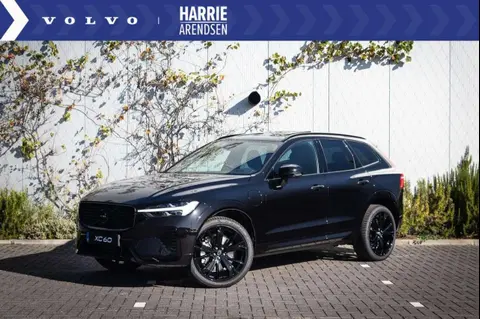 Used VOLVO XC60 Petrol 2024 Ad 