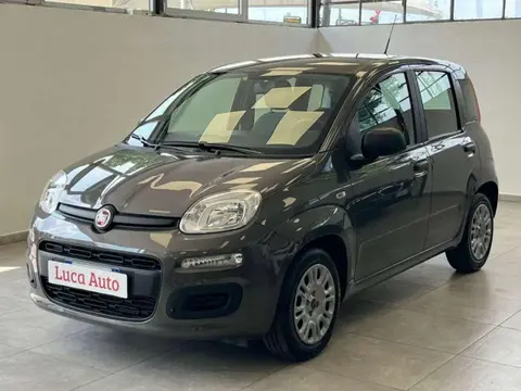 Annonce FIAT PANDA Hybride 2021 d'occasion 