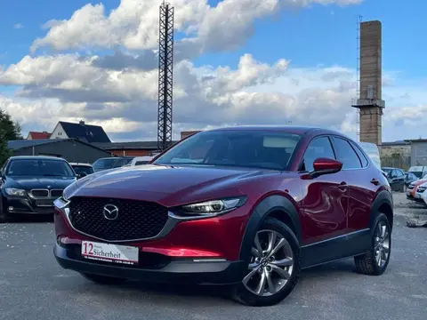 Used MAZDA CX-30 Hybrid 2020 Ad 