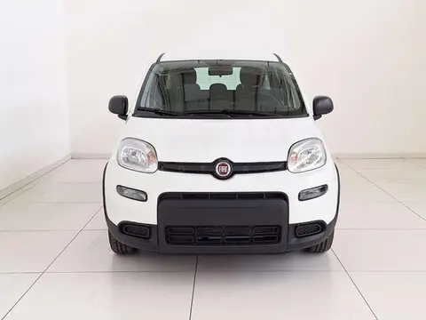 Annonce FIAT PANDA Hybride 2024 d'occasion 