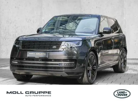 Used LAND ROVER RANGE ROVER Diesel 2024 Ad 