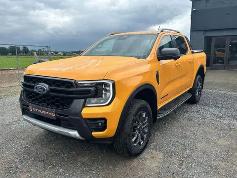 Annonce FORD RANGER Diesel 2024 d'occasion 