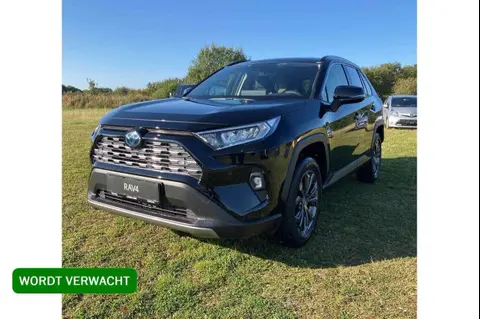 Annonce TOYOTA RAV4 Hybride 2024 d'occasion 