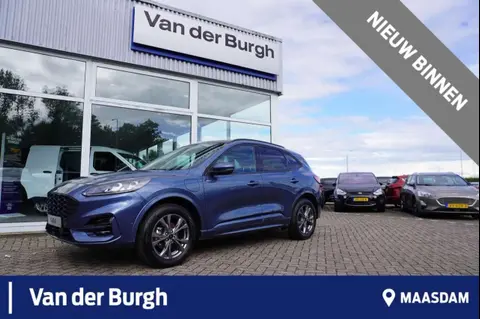 Annonce FORD KUGA Hybride 2023 d'occasion 