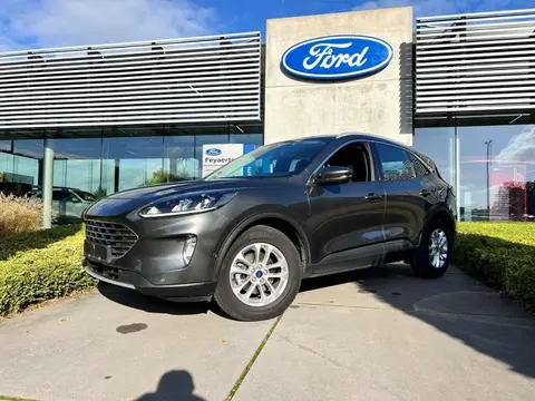 Used FORD KUGA Hybrid 2022 Ad 