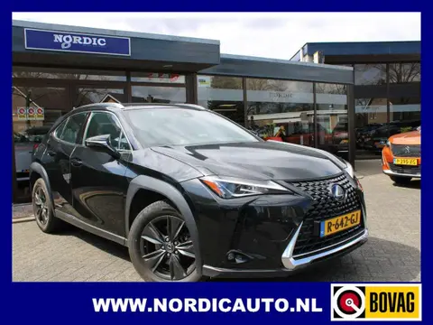 Annonce LEXUS UX Hybride 2019 d'occasion 