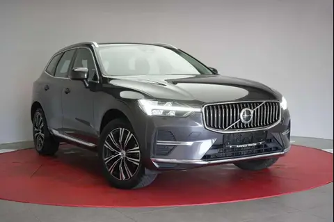 Used VOLVO XC60 Petrol 2022 Ad 