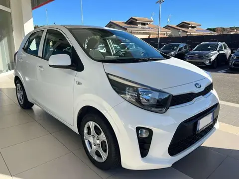 Used KIA PICANTO Petrol 2019 Ad 