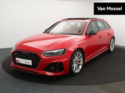 Used AUDI RS4 Petrol 2021 Ad 