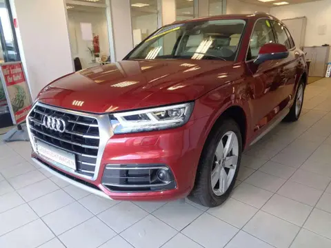 Used AUDI Q5 Petrol 2017 Ad 