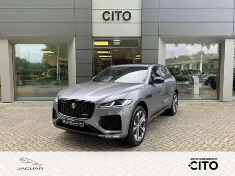 Used JAGUAR F-PACE Hybrid 2024 Ad 