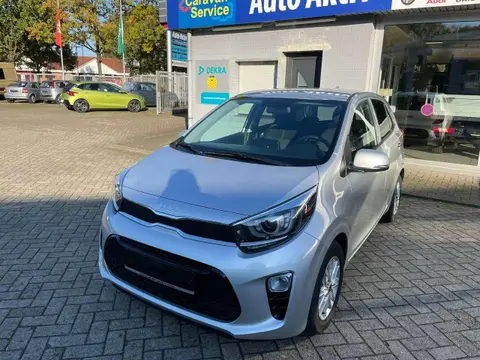 Used KIA PICANTO Petrol 2024 Ad 