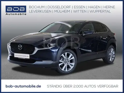 Annonce MAZDA CX-30 Essence 2024 d'occasion Allemagne