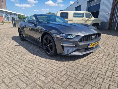 Annonce FORD MUSTANG Essence 2019 d'occasion 