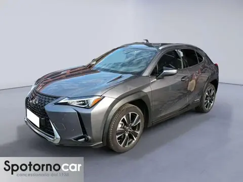 Used LEXUS UX Hybrid 2020 Ad 